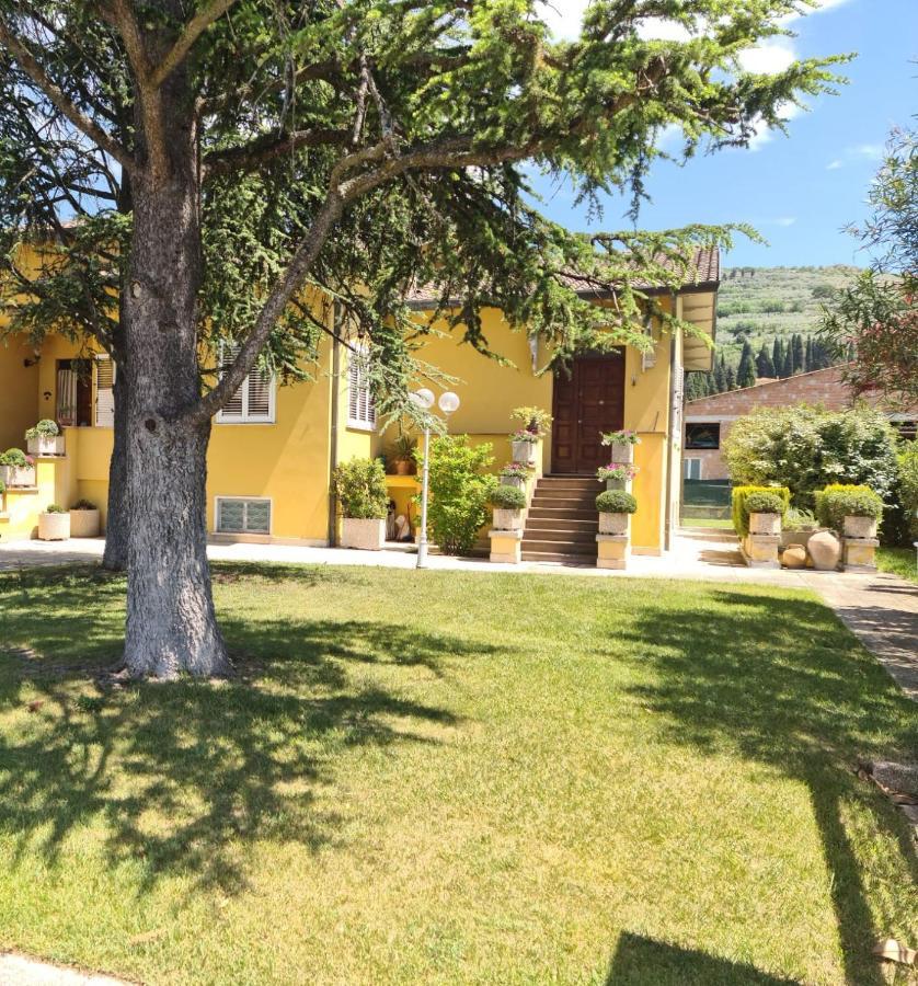La Finestra Su Spello Apartment Екстериор снимка